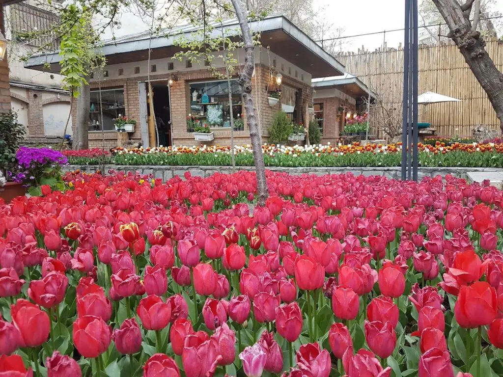 Iranian Art Museum Garden